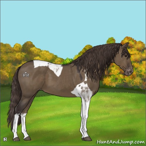 Horse Color:Smoky Grullo Sabino Tobiano Varnish