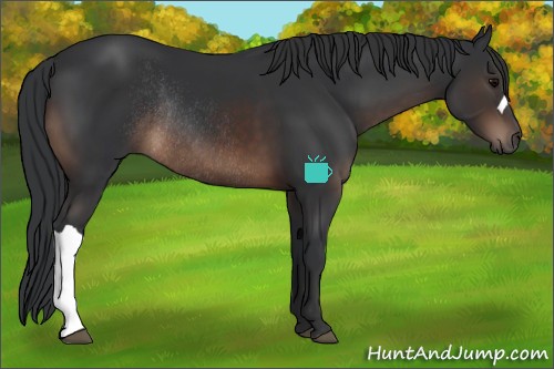 Horse Color:Brown Rabicano 