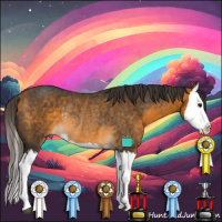 Horse Color:Buckskin Splash Rabicano