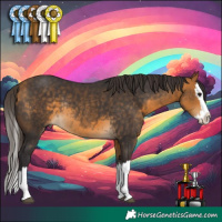 Horse Color:Buckskin Splash Rabicano 