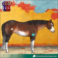 Horse Color:Brown Splash Frame Rabicano 
