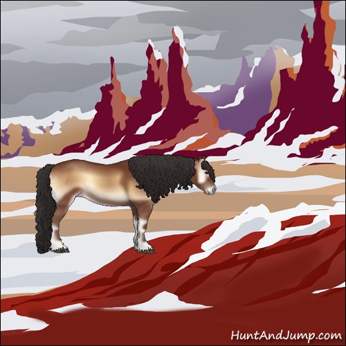 Horse Color:Bay Onyx