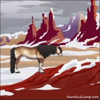 Horse Color:Bay Onyx 