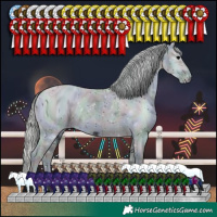 Horse Color:ERROR: UNKNOWN ANOMALY