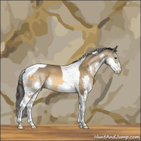Horse Color:Buckskin Splash Tobiano 