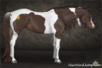 Horse Color:Liver Chestnut Tobiano