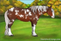 Horse Color:White Spotted Silver Brown Splash 