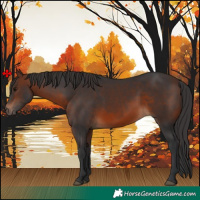 Horse Color:Brown 