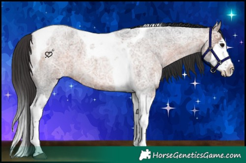 Horse Color:Brown Ice Roan Splash Tobiano 