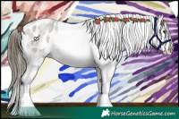 Horse Color:Buckskin Roan Dun Tobiano Appaloosa 