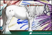 Horse Color:Liver Chestnut Splash Tobiano Appaloosa 