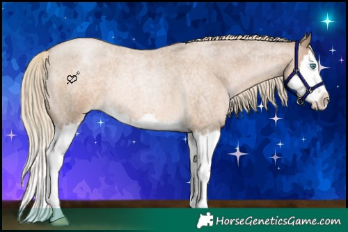 Horse Color:Chocolate Palomino Roan Pearl Splash 