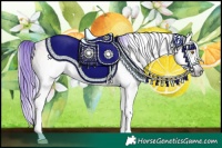 Horse Color:Gray Watercolor Sable Cream Champagne Onyx Sabino Rabicano 