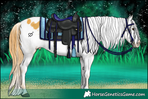 Horse Color:Watercolor Liver Chestnut Appaloosa 