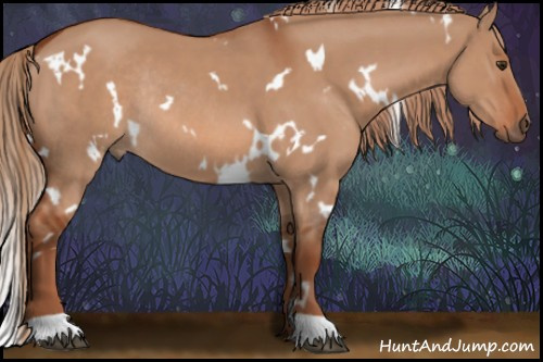 Horse Color:White Spotted Red Dun Rabicano 