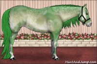 Horse Color:Watercolor Bay Ice Onyx Sabino 