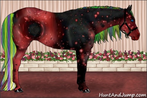 Horse Color:ERROR: UNKNOWN ANOMALY