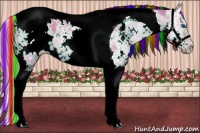 Horse Color:Painted Watercolor White Spotted Chestnut Ice Splash Tobiano Appaloosa 