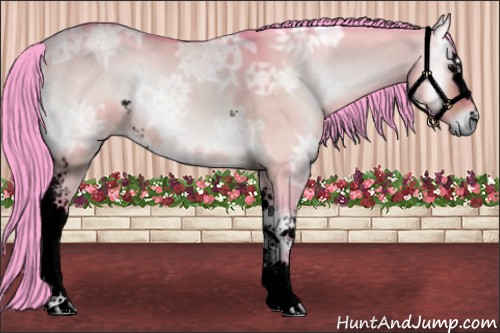 Horse Color:Void Watercolor White Spotted Brown Ice Onyx Sabino 