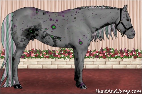 Horse Color:ERROR: UNKNOWN ANOMALY