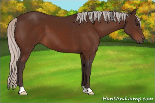 Horse Color:Silver Brown 