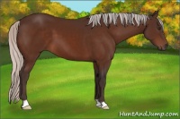 Horse Color:Silver Brown 