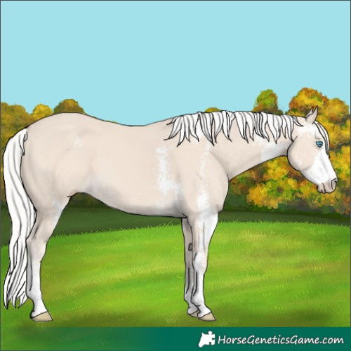 Horse Color:Silver Smoky Creme Sabino 