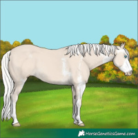Horse Color:Silver Smoky Creme Sabino 