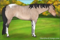 Horse Color:Bay Roan Dun Tobiano 