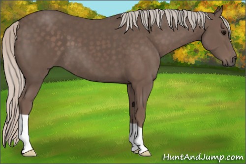 Horse Color:Silver Black 
