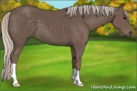Horse Color:Silver Black 
