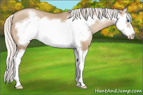 Horse Color:Silver Smoky Black Pearl Splash Frame 