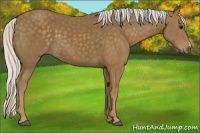 Horse Color:Silver Smoky Black 