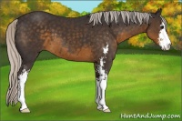 Horse Color:Silver Smoky Black Sabino 