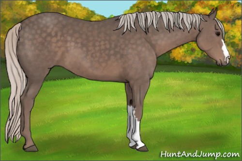 Horse Color:Silver Black 
