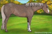 Horse Color:Silver Black 