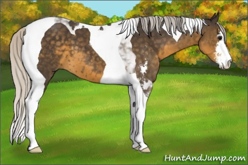 Horse Color:Silver Smoky Black Sabino Tobiano