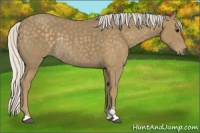 Horse Color:Silver Smoky Blue Roan Sabino Rabicano