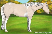 Horse Color:Silver Perlino Tobiano