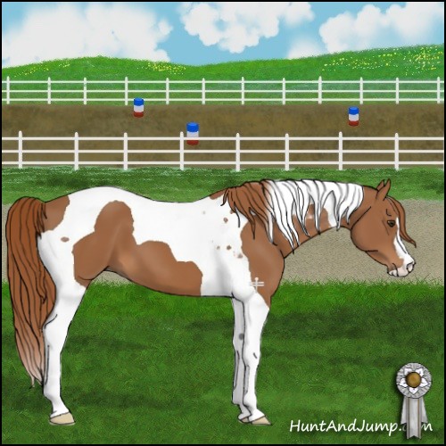 Horse Color:Chestnut Tobiano 