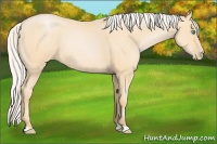 Horse Color:Silver Smoky Blue Roan Pearl 