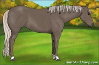 Horse Color:Silver Black 