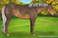 Horse Color:Silver Smoky Black 