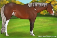 Horse Color:Silver Brown Sabino 