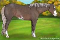 Horse Color:Silver Black Sabino Varnish 