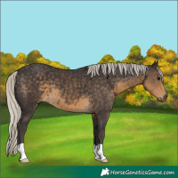 Horse Color:Silver Smoky Black 