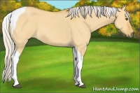 Horse Color:Silver Buckskin Dun Tobiano 