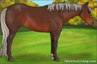 Horse Color:Silver Brown 