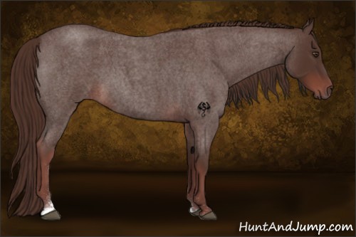 Horse Color:Liver Red Roan Tobiano 