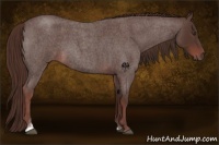 Horse Color:Liver Red Roan Tobiano 